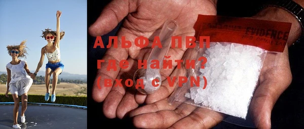 PSILOCYBIN Волосово