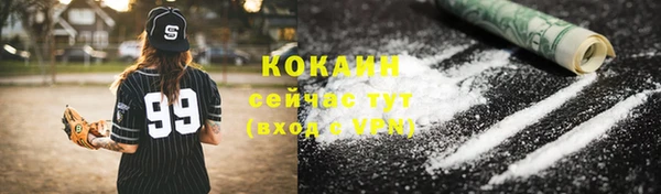PSILOCYBIN Волосово