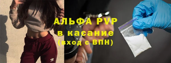 PSILOCYBIN Волосово