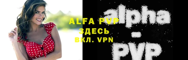 PSILOCYBIN Волосово