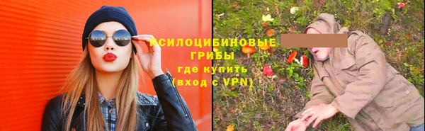 PSILOCYBIN Волосово