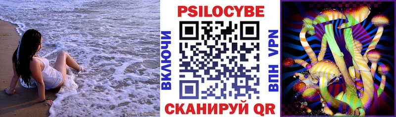 Галлюциногенные грибы Psilocybine cubensis  Купить где  Торжок 