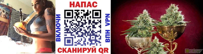 Купить  Торжок  Бошки марихуана марихуана 